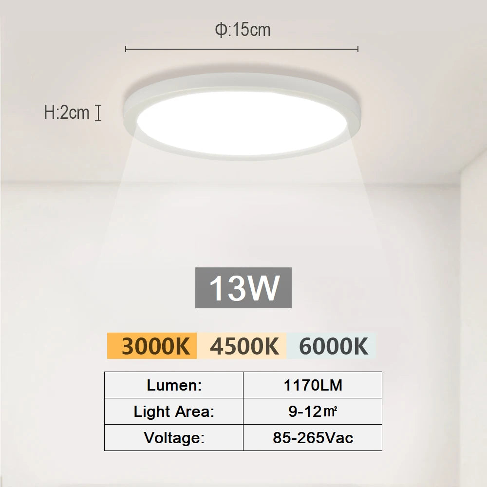 LED Ceiling Light Modern Aisle Ceiling Lamp Indoor Hallway Lighting Small Surface Mounted Fixtures